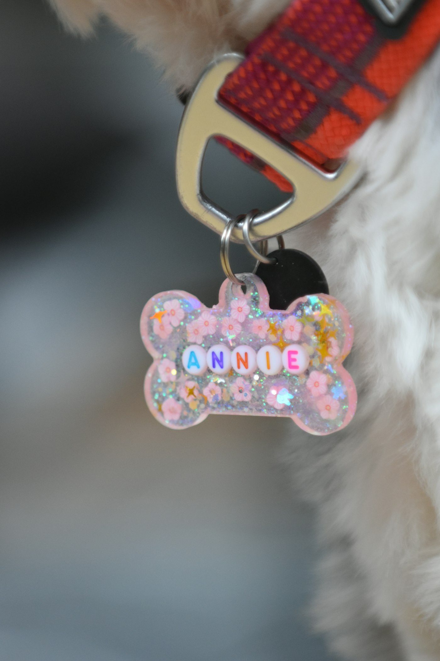 Example product style. A collar with a custom name tag. Not an Aetherpaw mark.